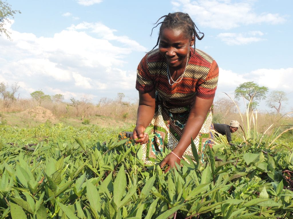 sustainable use Resource Africa work