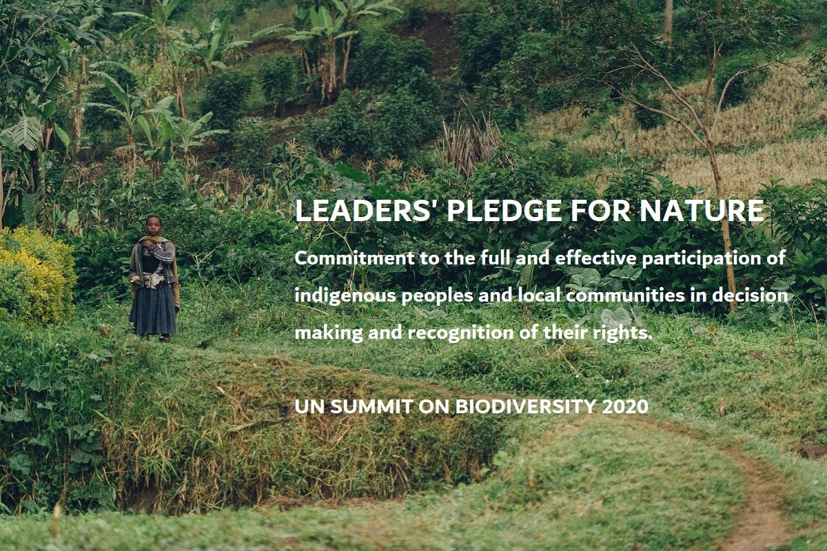 LEADERS PLEDGE FOR NATURE