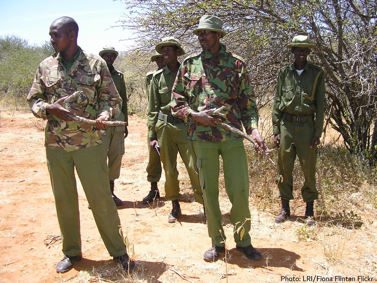 African conservation