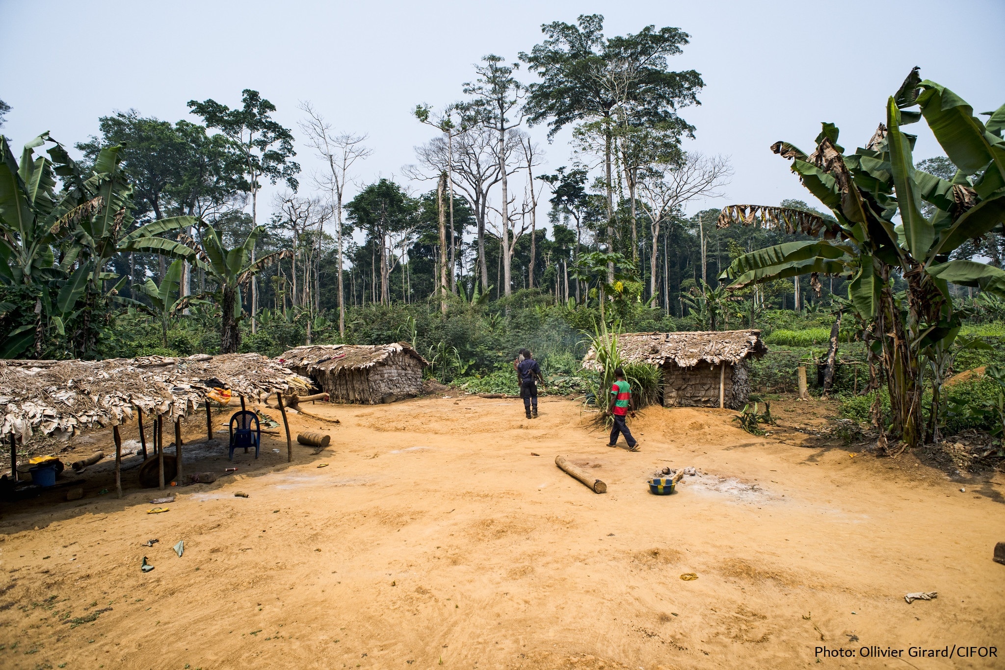 community livelihoods and COVID19