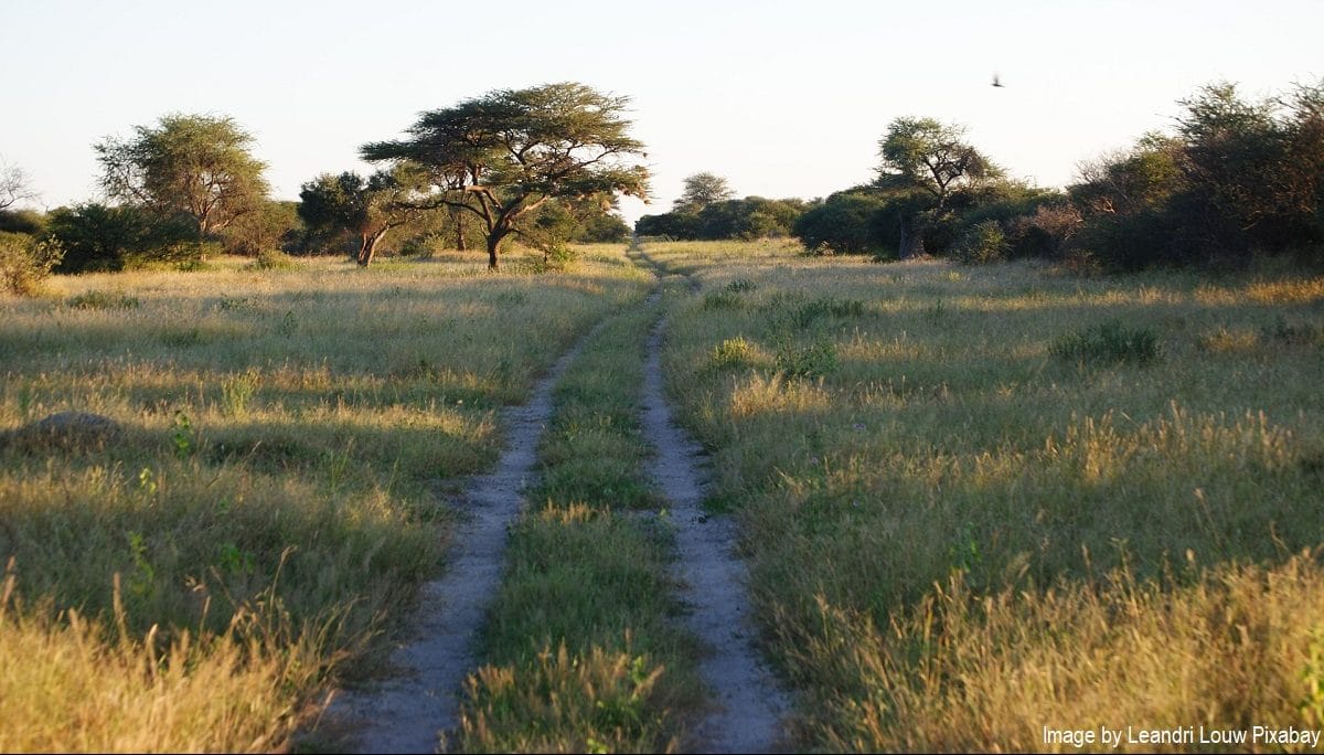 conservation in Africa