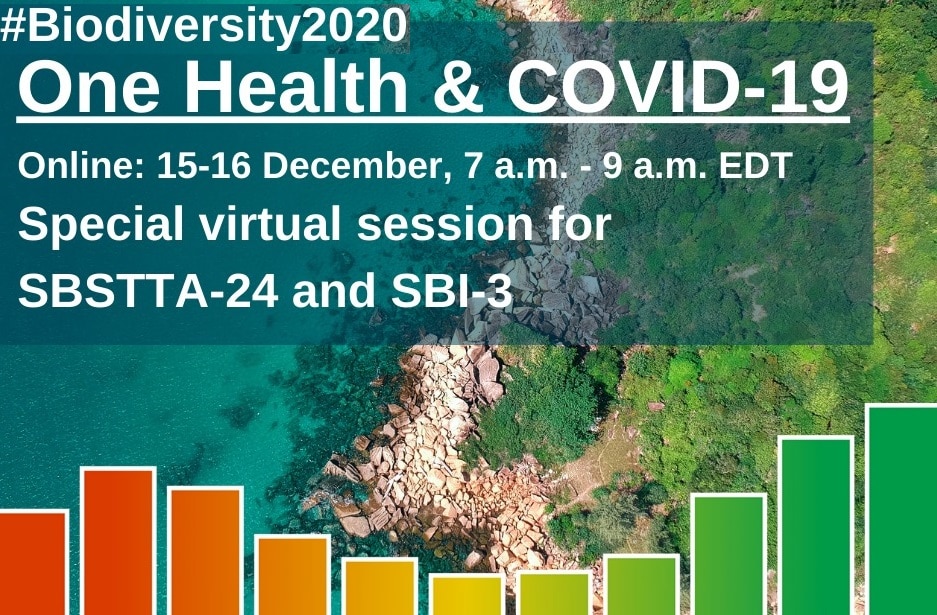 CBD virtual session under the theme "Biodiversity, One Health and responses to COVID19
