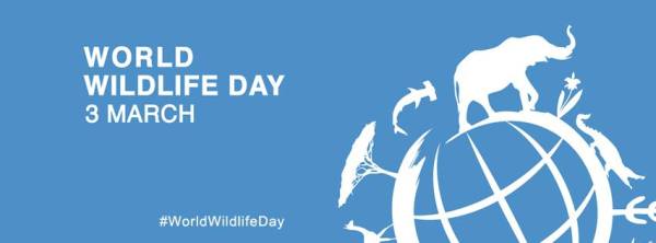 UN World Wildlife Day 2021 (3 March) as “Forests and livelihoods