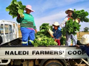Naledi Harvest Festival