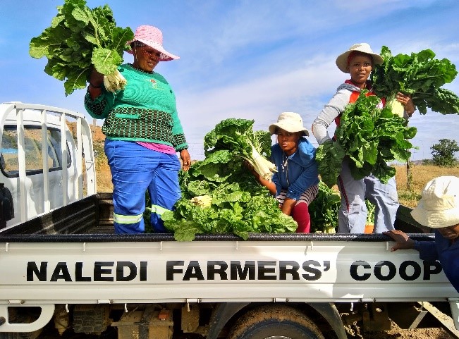 Naledi Harvest Festival