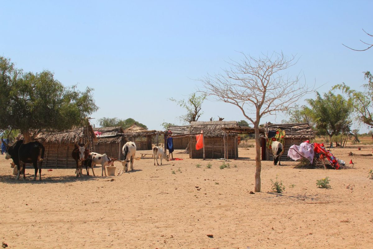 climate change Africa