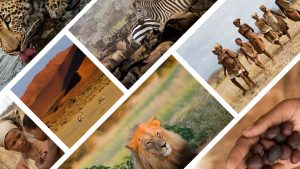 Collage of many images at 45 degrees.