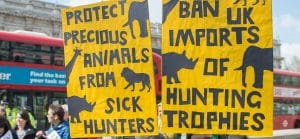 hunting trophies