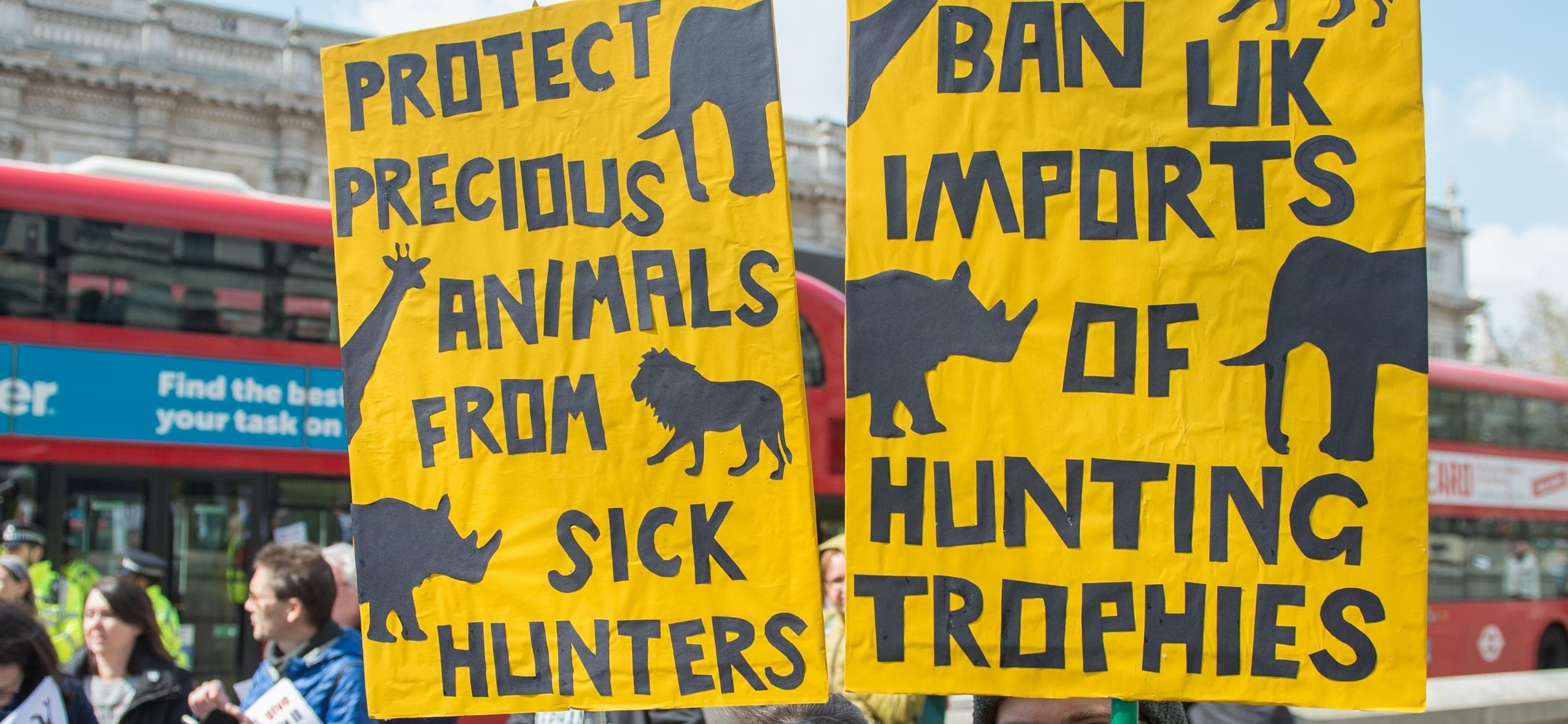 hunting trophies