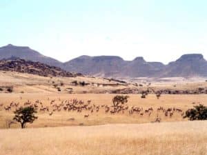 community based natural resource management