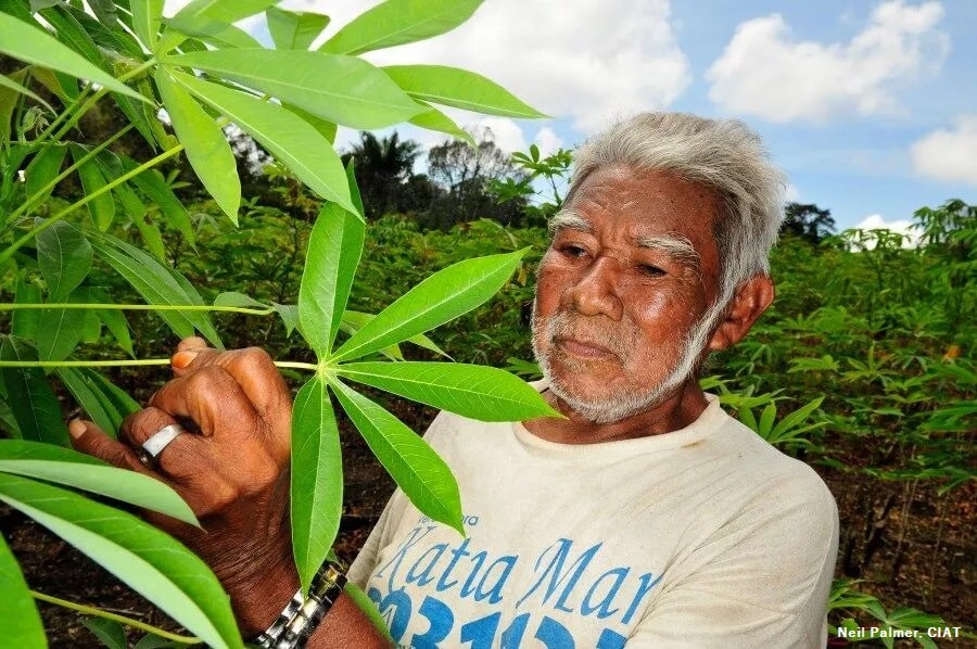 conservation