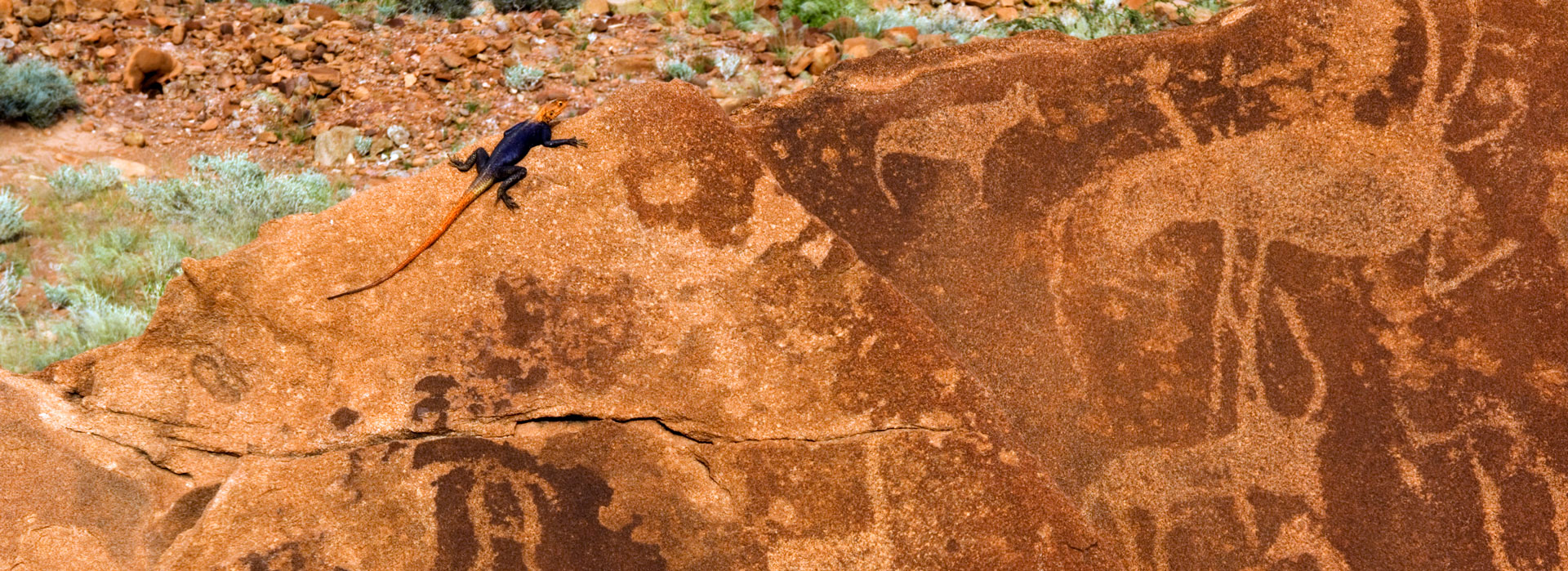 Twyfelfontein rock art