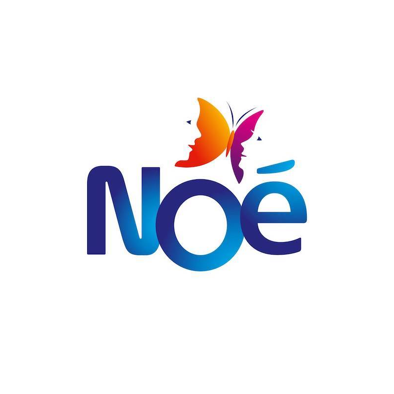 Noe logo