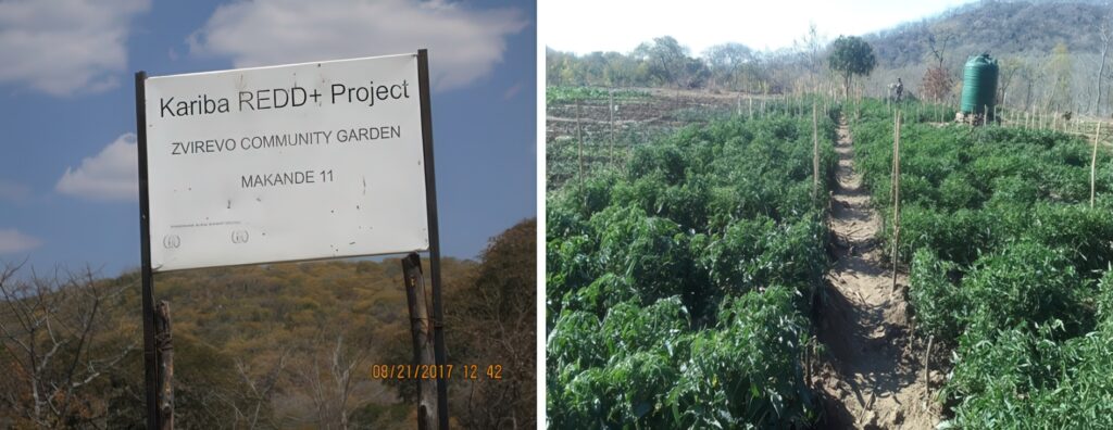 Sign and community garden.