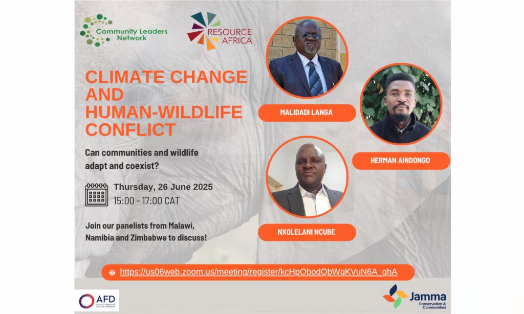 Advert showing the title, date and panelists for the webinar.
