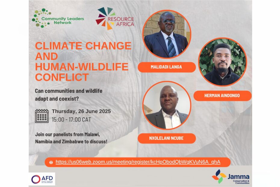 Advert showing the title, date and panelists for the webinar.