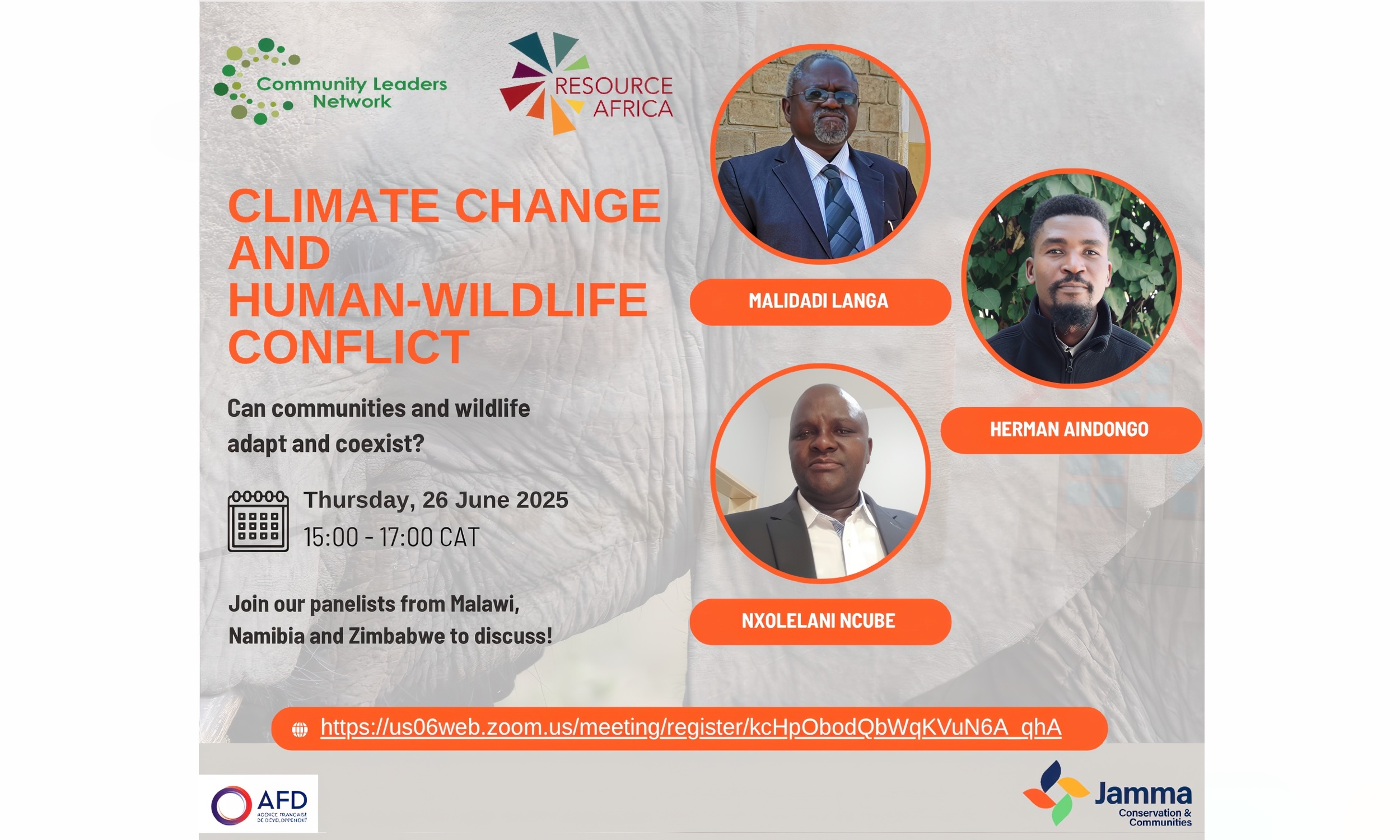 Advert showing the title, date and panelists for the webinar.